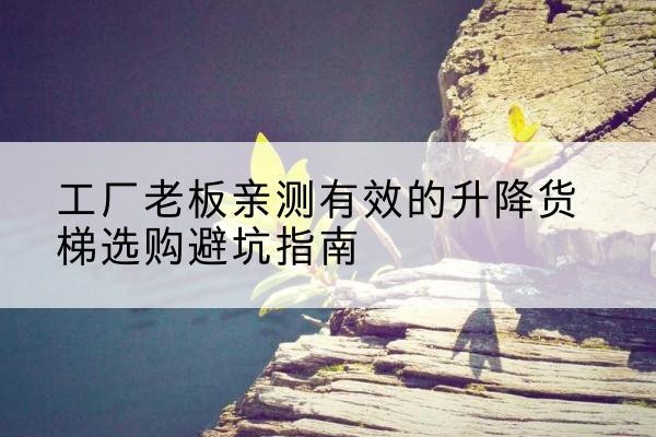 高台升降货梯怎么选-工厂老板亲测有效的升降货梯选购避坑指南