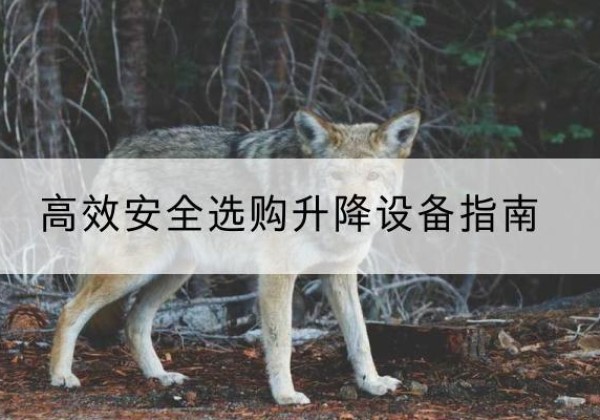 高台升降货梯厂家推荐-*安全选购升降设备指南