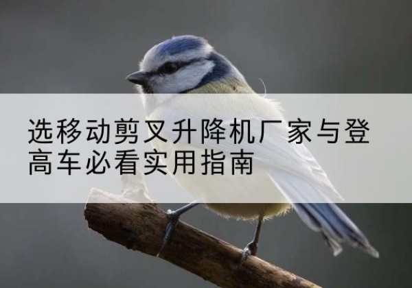 高台电动升降机厂家-选移动剪叉升降机厂家与登高车必看实用指南